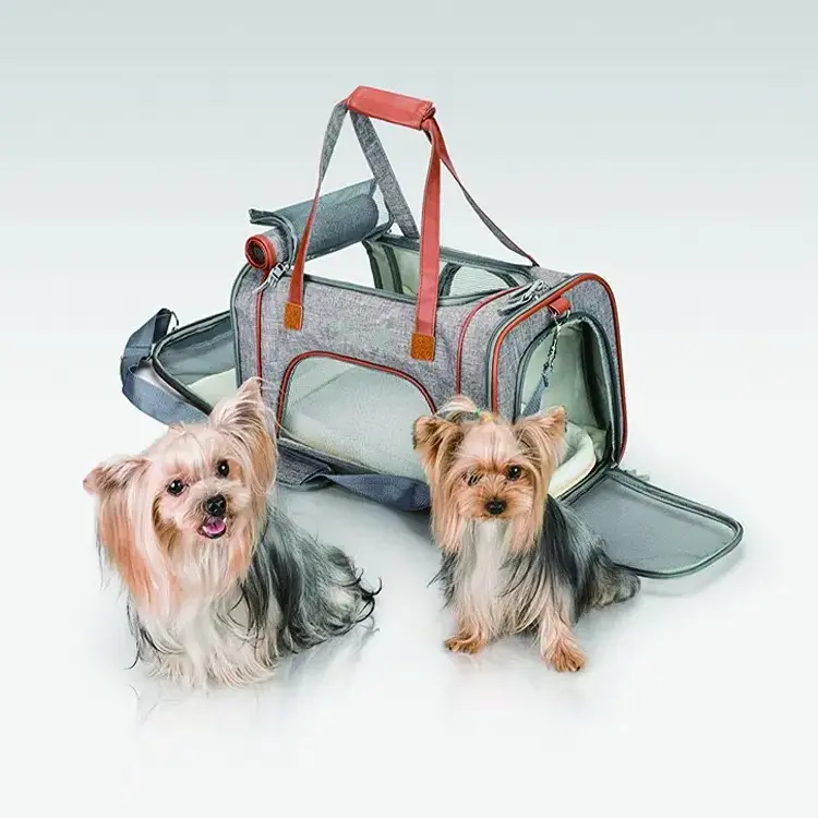 Comfortable breathable pet travel bag Backpack Pet Carrier