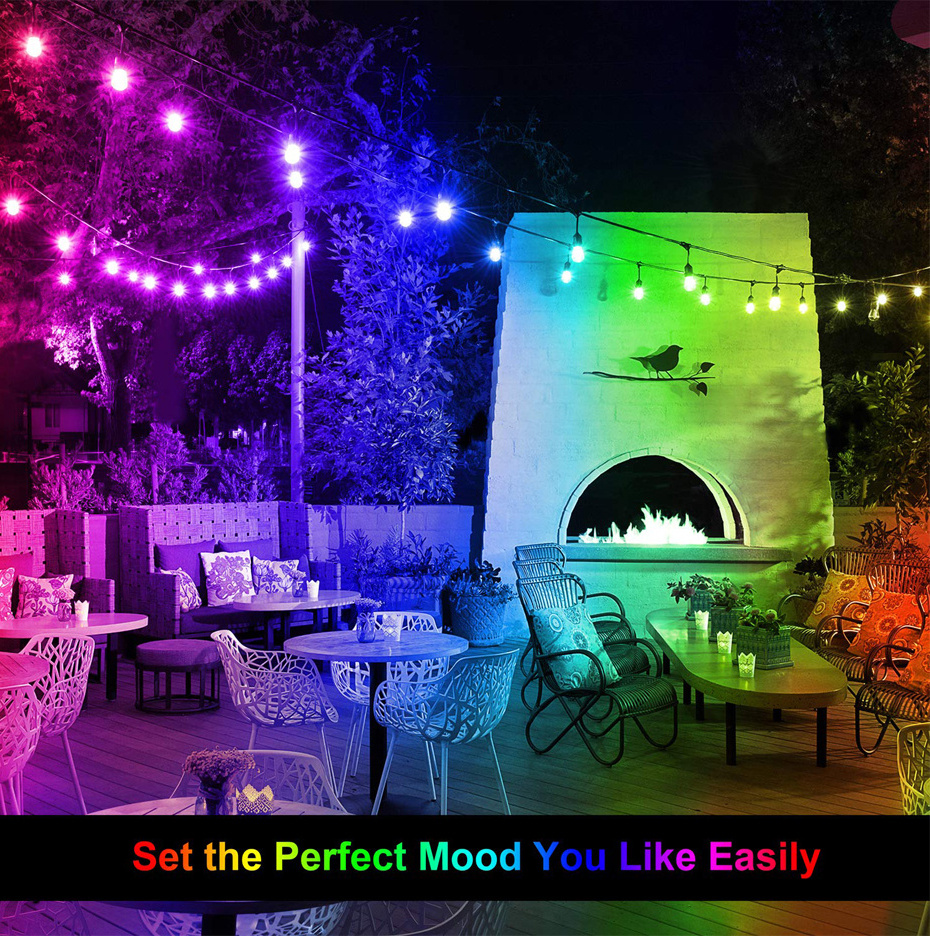 Commercial Grade Outdoor Color Changing remote voice RF control christmas S14 rgb led string lights