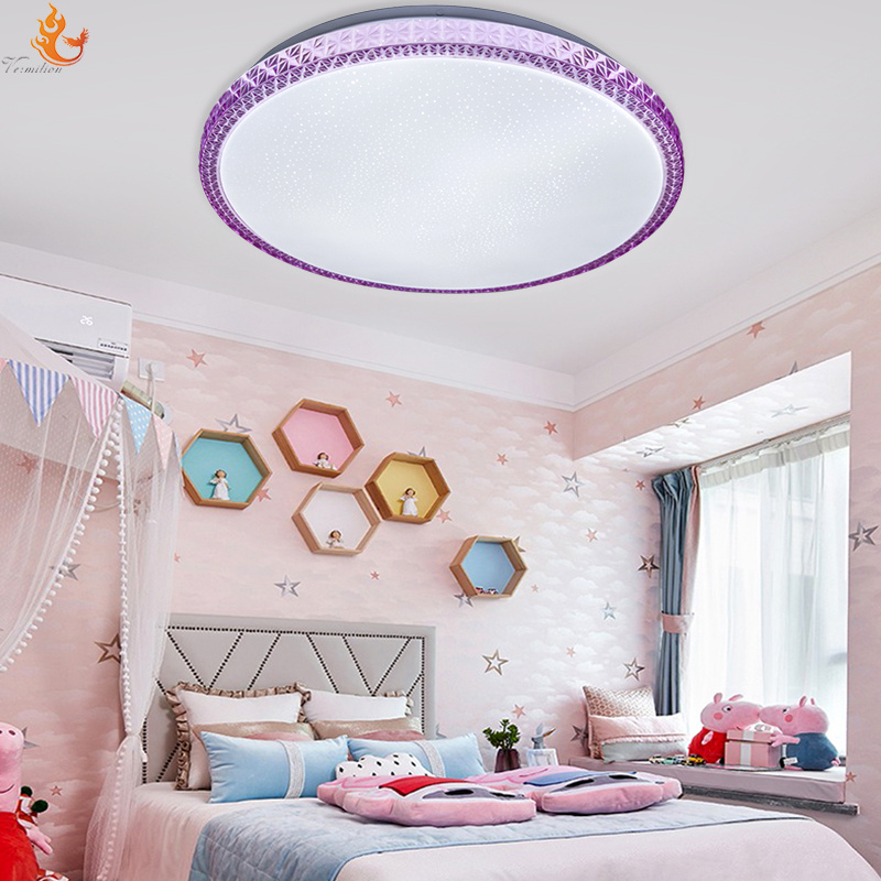 Ceiling Lamps Decoration Indoor 220V Remote Control Modern Luxury Fancy Led Ceiling Light