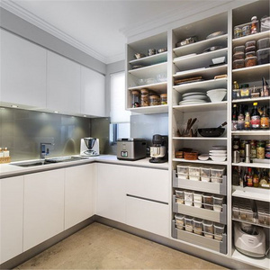 Australia style Modern Walk in Pantry Organization Ideas small wood kitchen cabinet