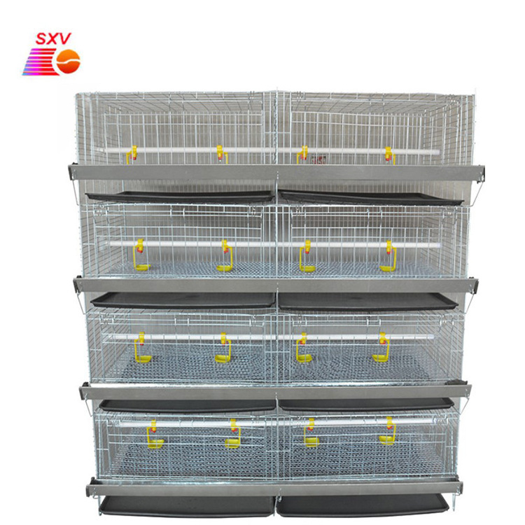 Poultry farm chicken layer cage galvanized wire mesh layer chick cage