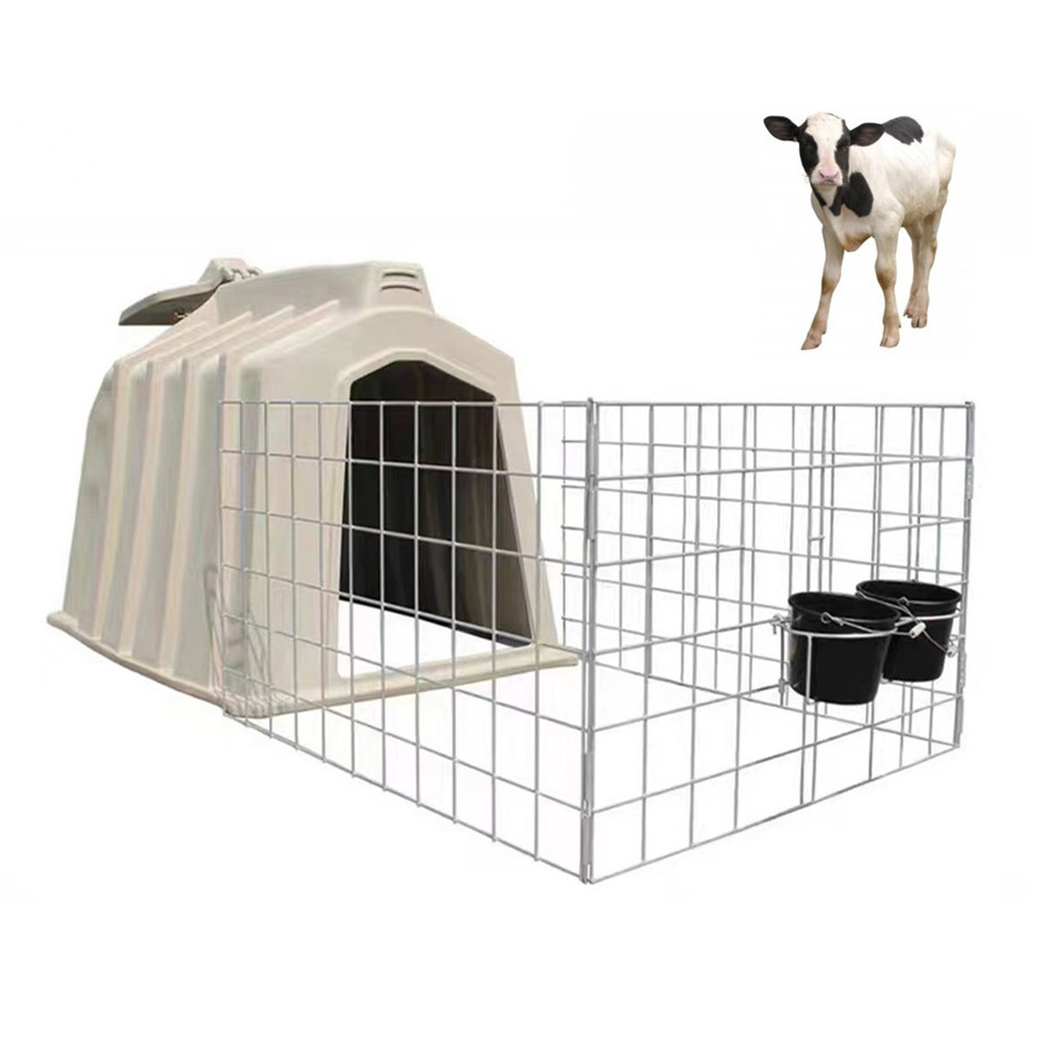 Modern dairy farm equipment calf hutch