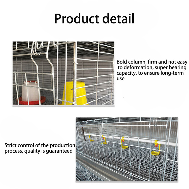 Poultry farm chicken layer cage galvanized wire mesh layer chick cage