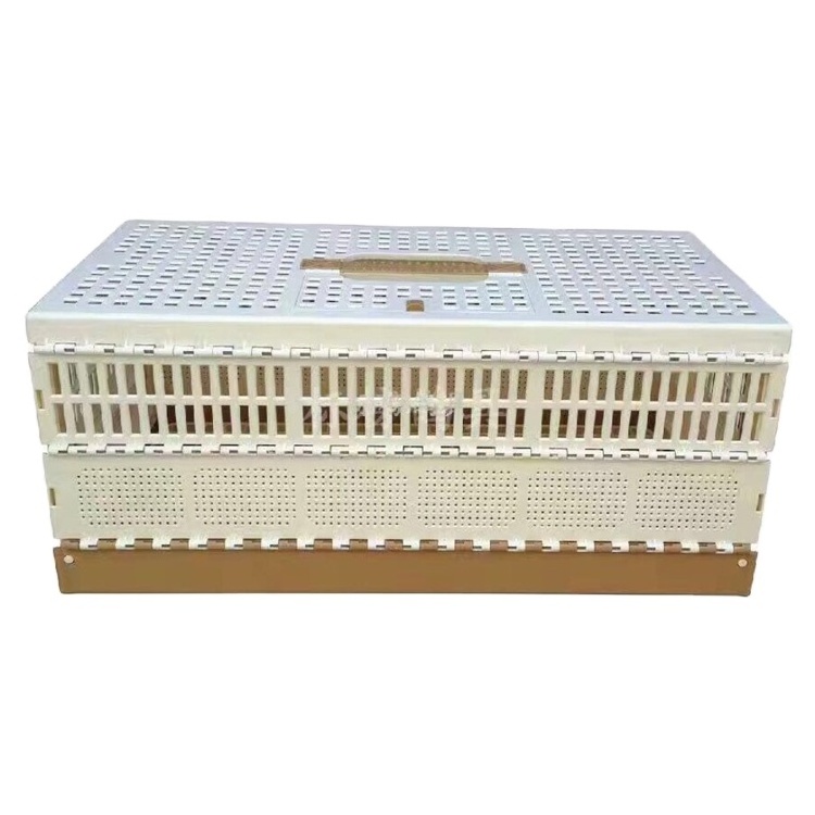 Pet product plastic  pigeon bird transport cage box ABS training pigeon flying folding cage