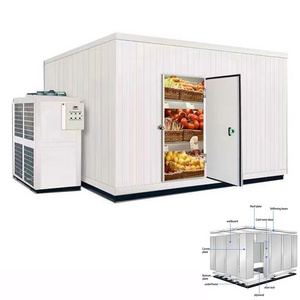 Walk In Freezer Large Cold Storage Room Vegetables Fruits Meat Cold Room