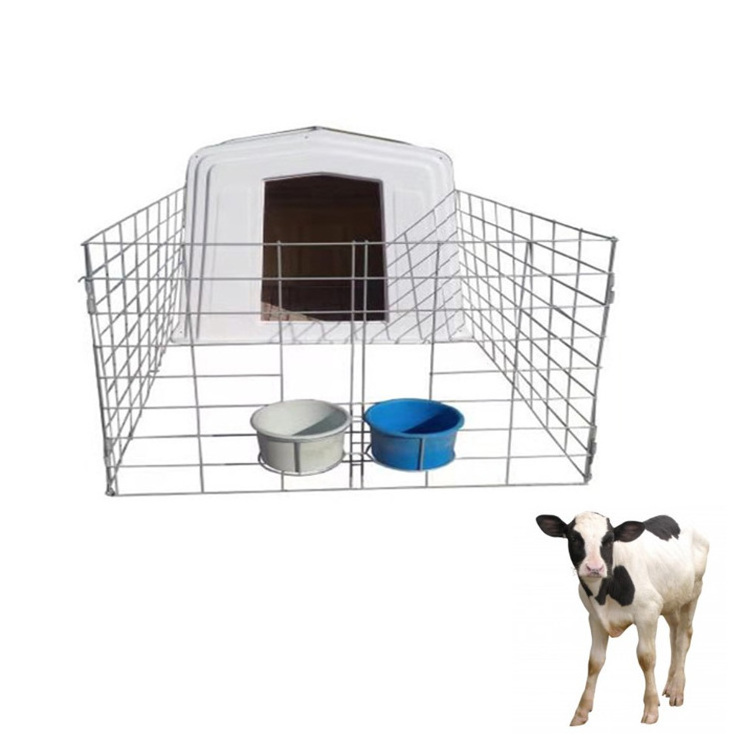 Modern dairy farm equipment calf hutch