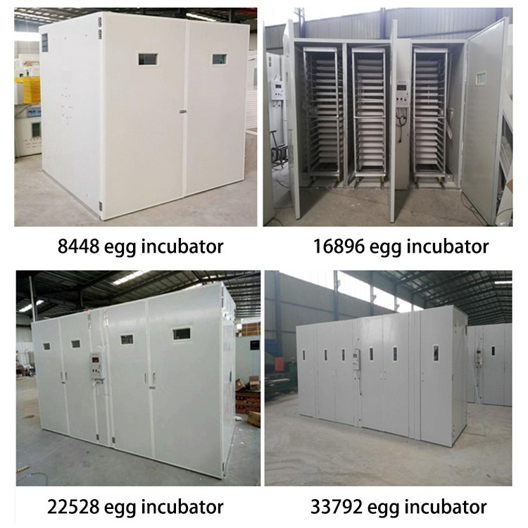 4224 Automatic Egg Incubator Commercial Egg Incubator For Hatching Eggs