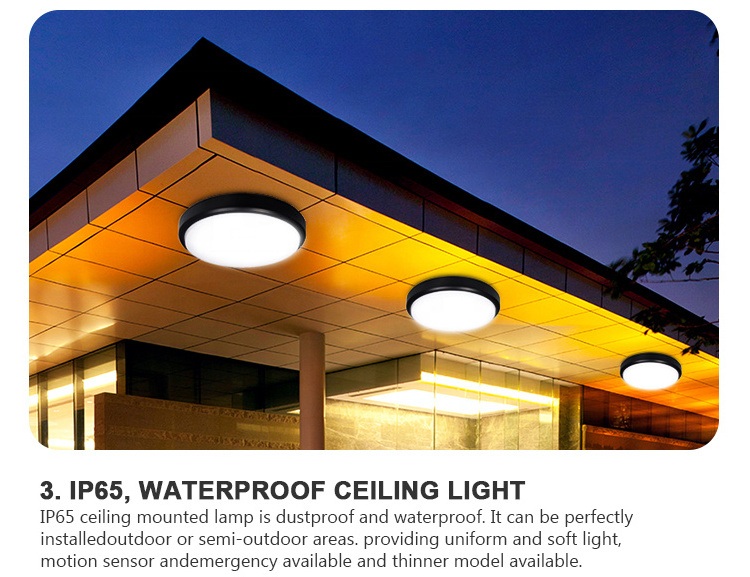 Modern patio garden waterproof out door ceiling lamp bulkhead dimmable led ip65 outdoor ceiling light