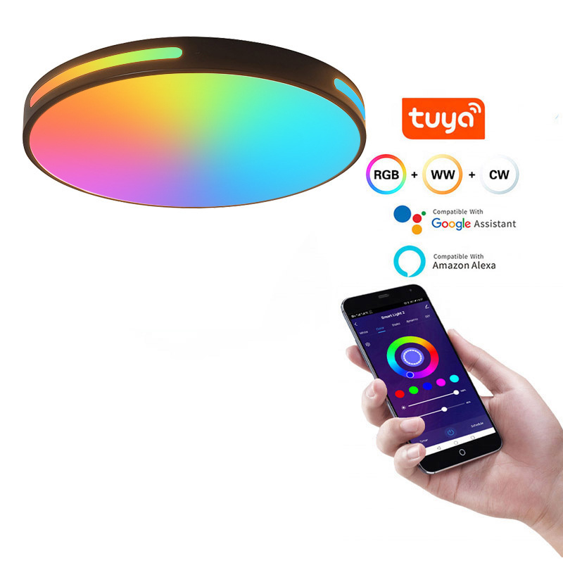 New wifi tuya ceiling lamp light RGB led ceiling lights smart RAPHAEL The side light flicker free CCT music Voice control