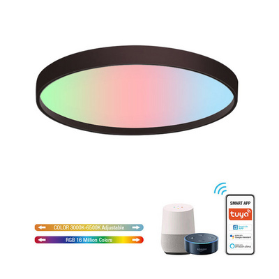 VERTEX LIGHTING ceiling rgb wifi control tuya ceiling light Voice APP Alexa Tuya Remote Control custom indoor Bedroom