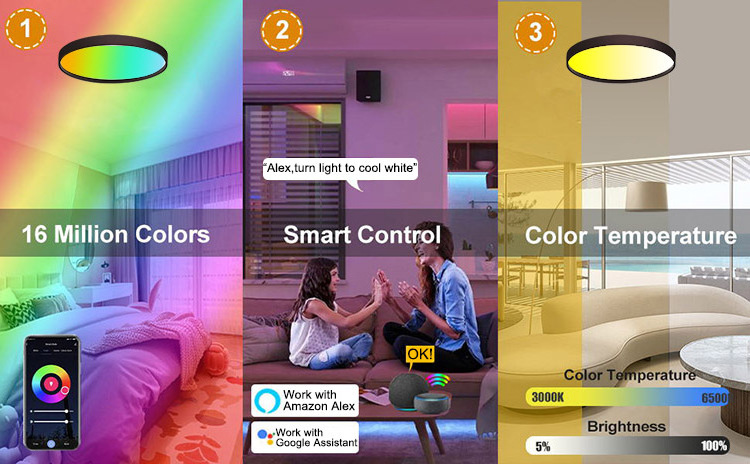 VERTEX LIGHTING ceiling rgb wifi control tuya ceiling light Voice APP Alexa Tuya Remote Control custom indoor Bedroom