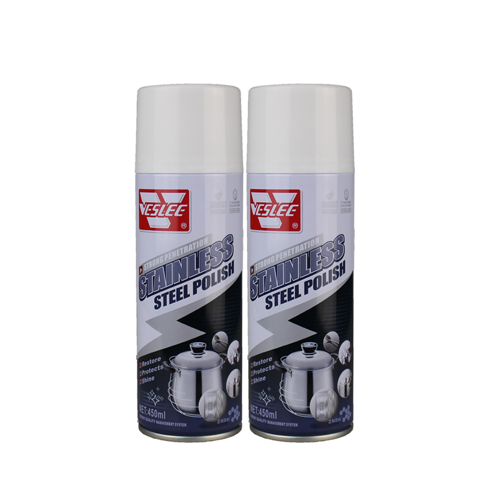 VESLEE Supplier Household Removing Stain Aerosol Spray Stainless Steel Cleaner