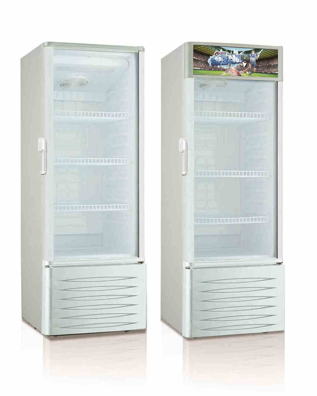 ST climate vertical glass door stand up display freezer