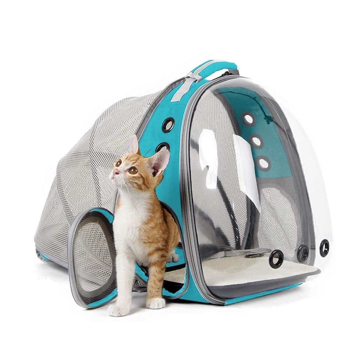 Cat Backpack Carrier Bubble Rucksack Carry Back Pack Clear Carrying Capsule Space Pet Travel Backpack