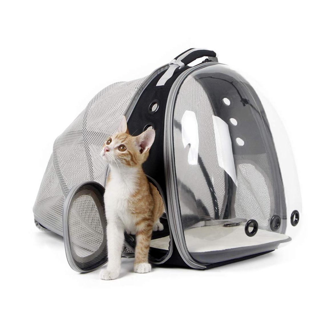 Outside Travel Portable Expandable Transparent Space Capsule Breathable Cat Carrier Pet Carriers Bags Backpack For Cat