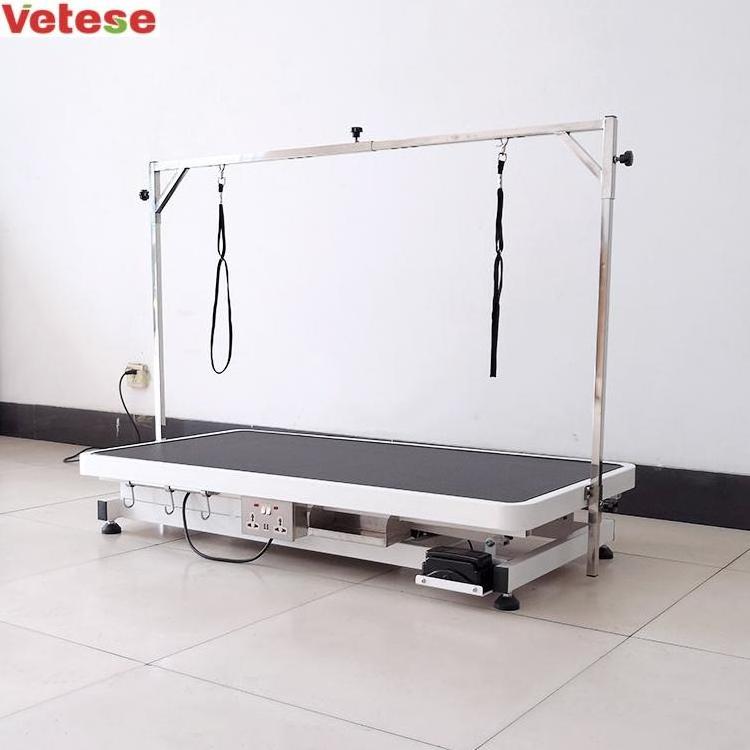 Electric Dog Pet Grooming table used for veterinary clinic and hospital