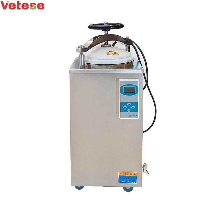 vertical price mini machine medical used autoclave