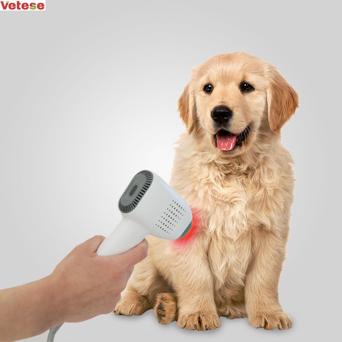 Veterinary Laser for Pain Relief and Healing in Pets and Larger Animals