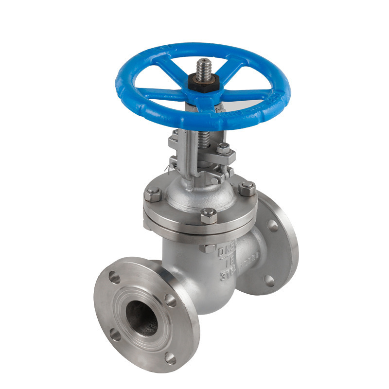 Customized DN25 1 inch ANSI Stainless Customizable steel Cast Steel DIN PN16 Water Oil Flange Gate Valve