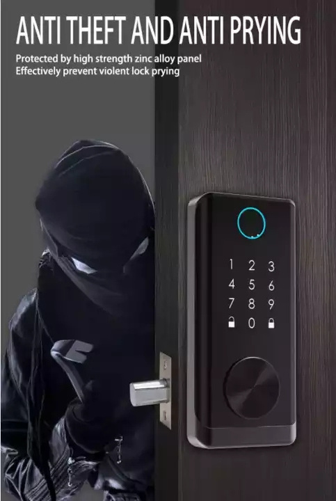 Smart Door Lock Fingerprint Inside Digital Handle KeylessTtlock Smart Lock