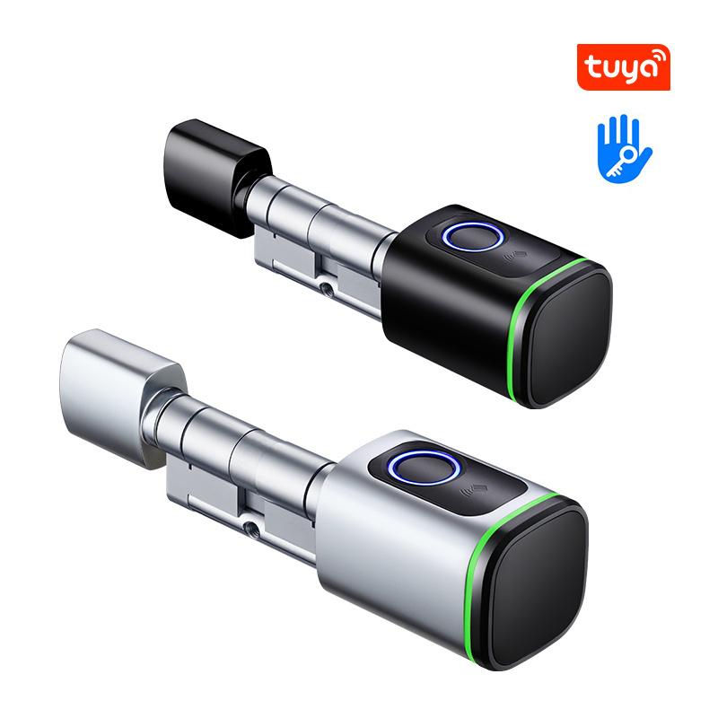 Tuya TTlock App Smart Fingerprint RFID Cylinder Lock with keys