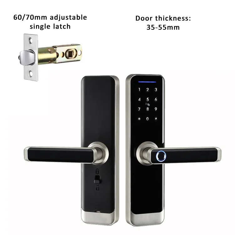 Tuya TTlock smart RFID Fingerprint digital Door Locks with keys