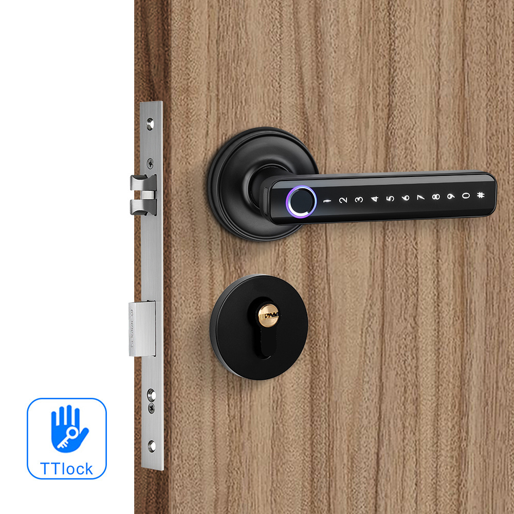 Biometric Fingerprint RFID Digital Smart Tuya door Lock with Handle and Europe mortise