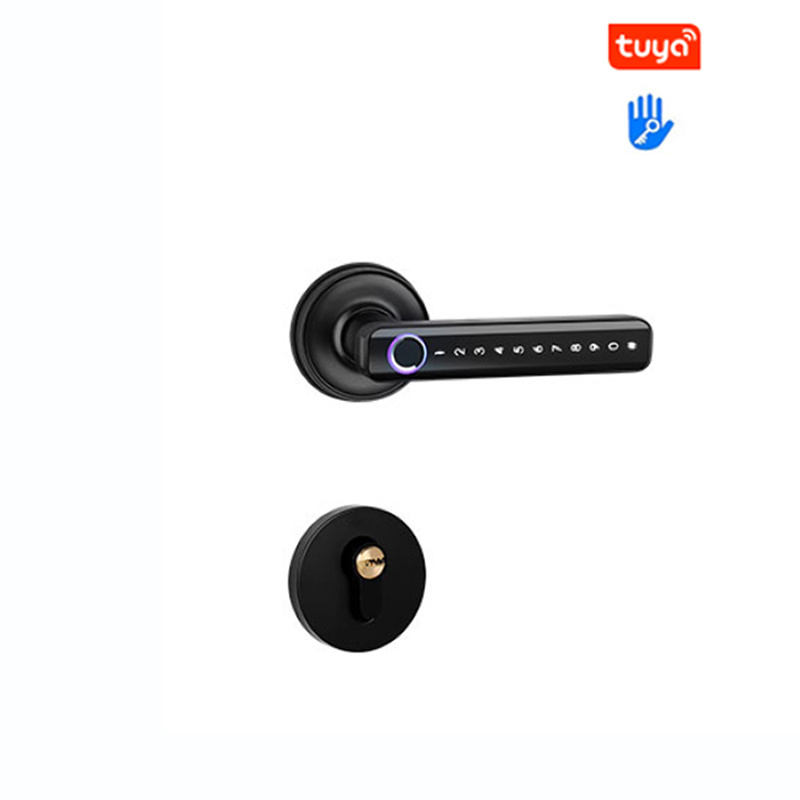 Biometric Fingerprint RFID Digital Smart Tuya door Lock with Handle and Europe mortise