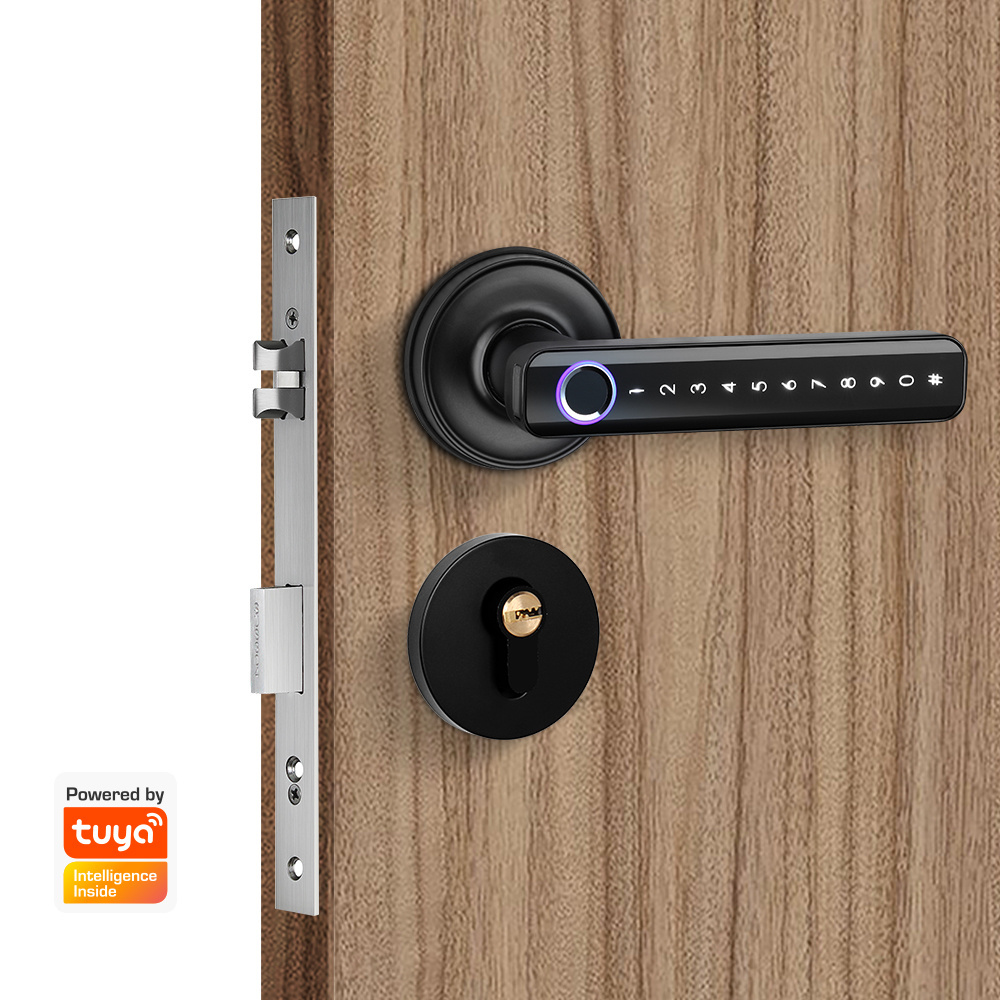 Biometric Fingerprint RFID Digital Smart Tuya door Lock with Handle and Europe mortise