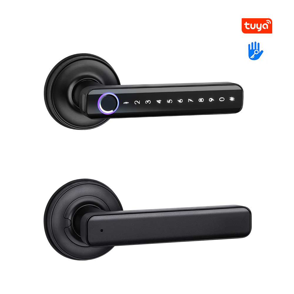 Tuya TTlock Digital Fingerprint RFID Smart door Lock with Handle