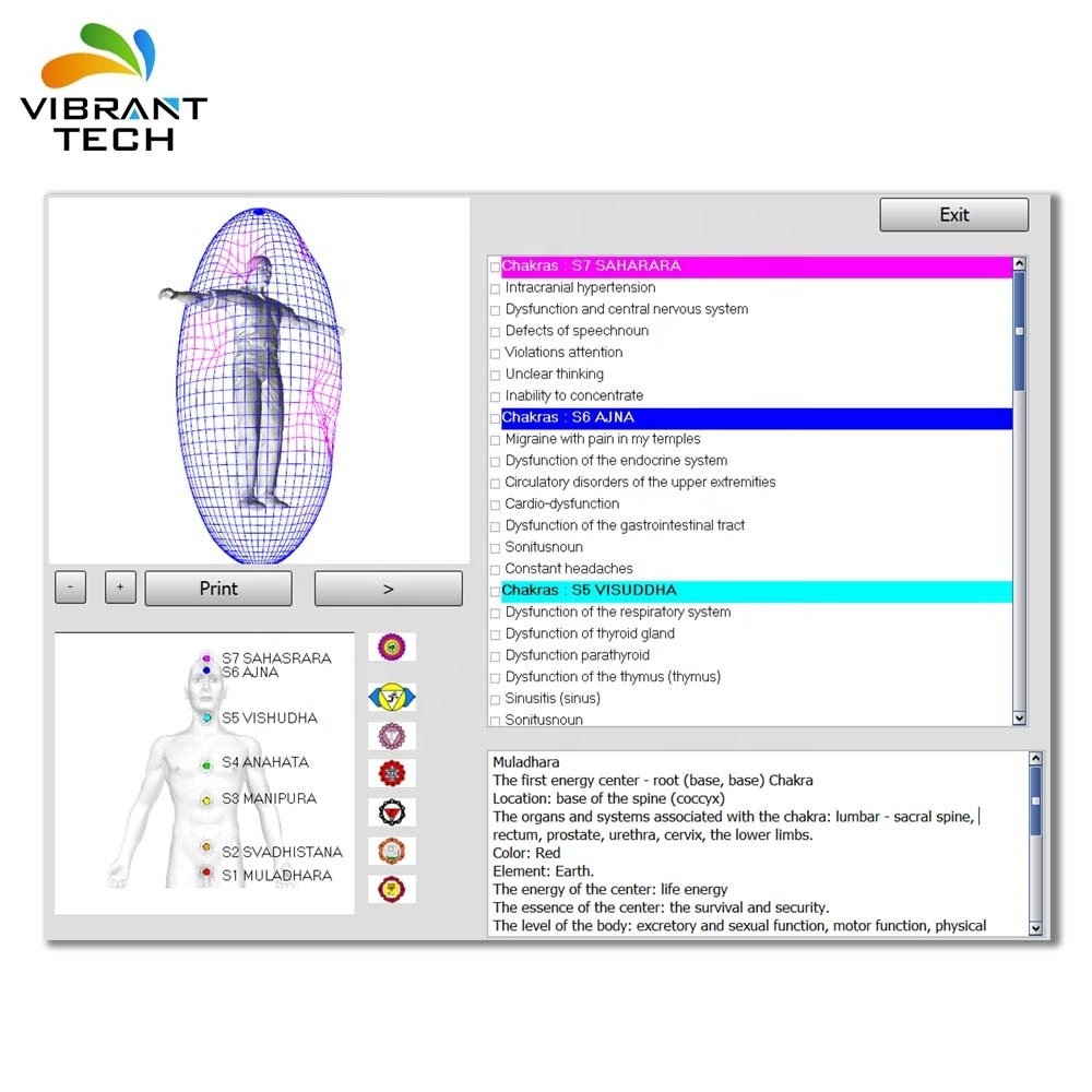 Magnetic Resonance bio BIOPLASM NLS health analyzer with cell repair and therapy function