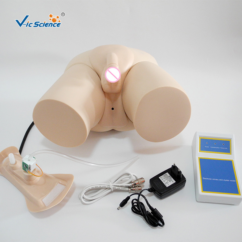 Hot Sale Nurse Electronic Urinary Model Electronic urinary catheterization model