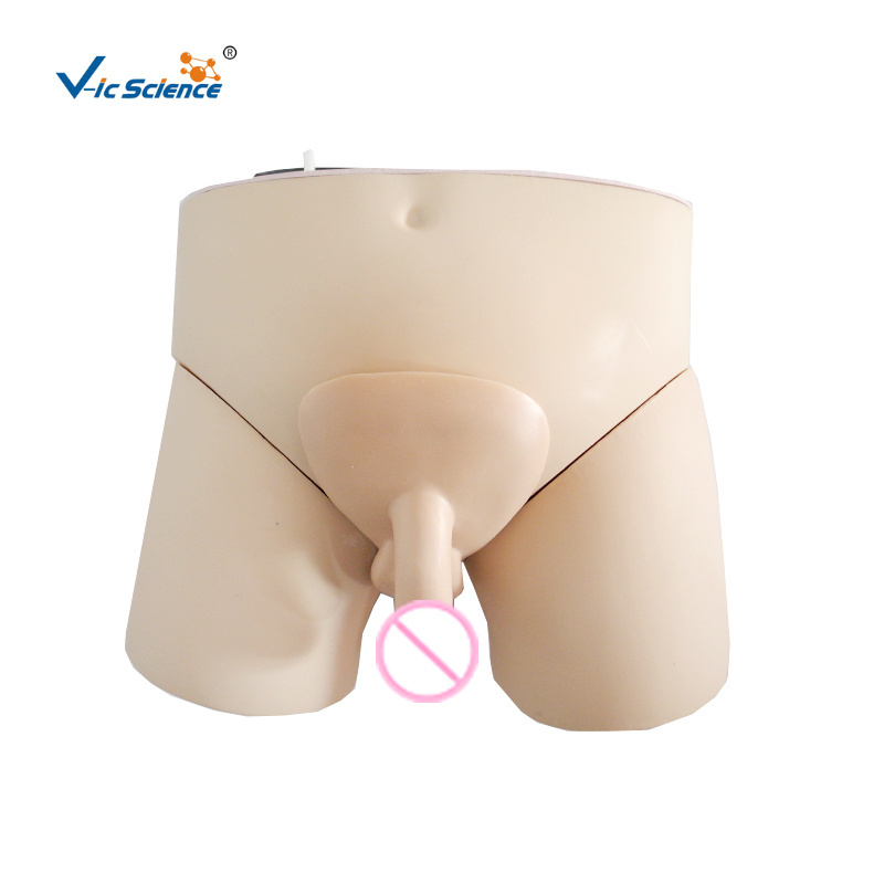 Hot Sale Nurse Electronic Urinary Model Electronic urinary catheterization model