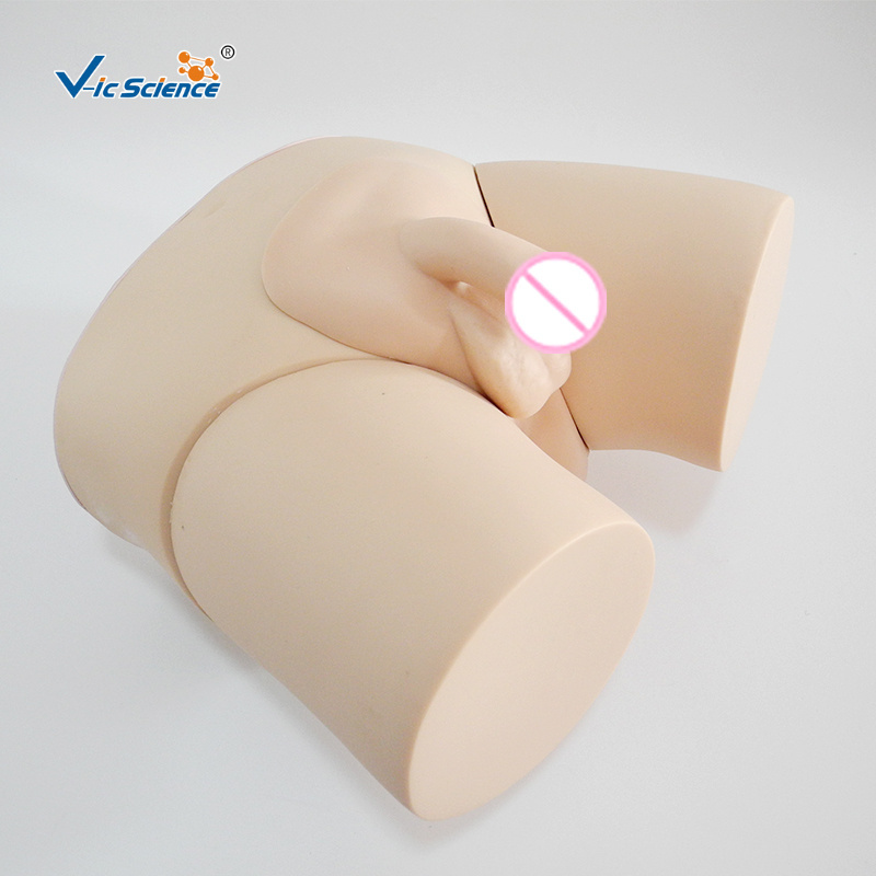 Hot Sale Nurse Electronic Urinary Model Electronic urinary catheterization model