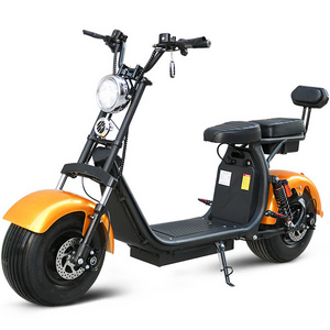 double lithium battery electric scooter fat tire electric motorcycle