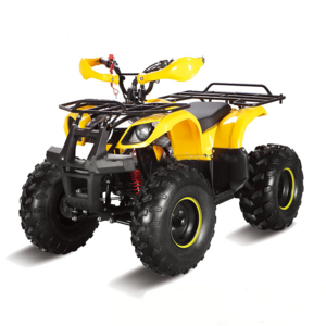 800w kids electric quad electric atv kids 500w electric atv for kids