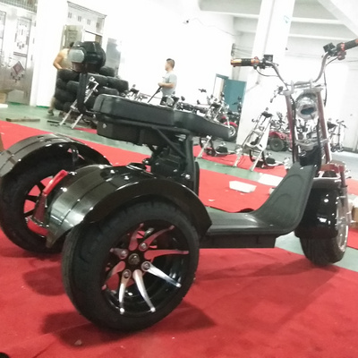 3 Wheel Electric Mobility Scooter