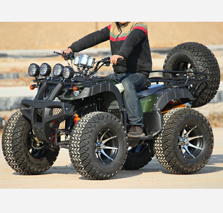 CE Covered Adult Gas Powered 250cc ATV