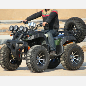 CE Covered Adult Gas Powered 250cc ATV