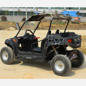 Factory price cheap 60V 72V Adult ELECTRIC ATV DUNE BUGGY