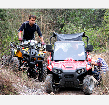 Cheap Adult ATV 150cc Quad Bikes Chain Drive 4 Wheel ATV for Sale