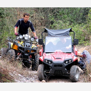 Cheap Adult ATV 150cc Quad Bikes Chain Drive 4 Wheel ATV for Sale