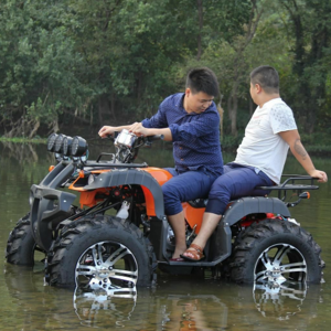 200CC quad bike 4 wheeler ATV 4x4 Driving for adults