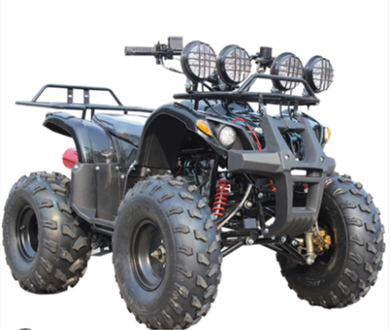 500W, 800W 1000W Electric Mini ATV, Mini Quad for Kids