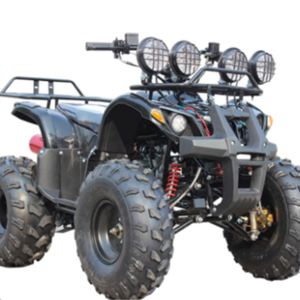 500W, 800W 1000W Electric Mini ATV, Mini Quad for Kids