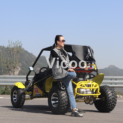 china brand 200cc buggy street legal 250cc gas power go kart