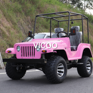 4 wheeler dune buggy 3000w Electric mini willys