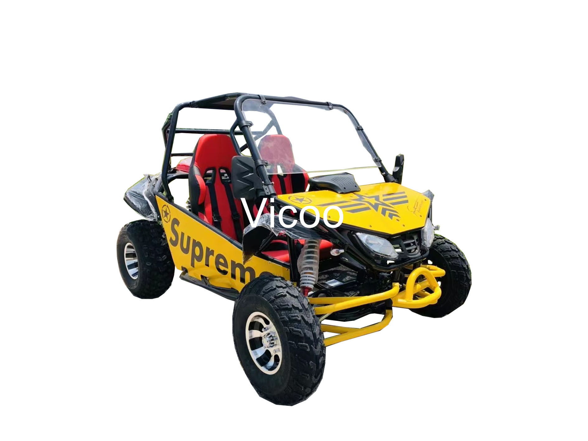 Vicoo 200cc automatic go karts for adult off road racing go kart