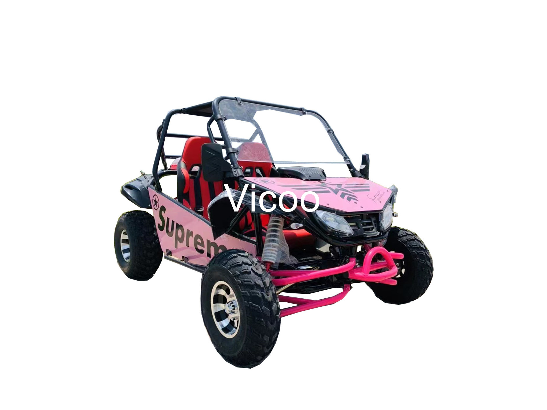 Vicoo 200cc automatic go karts for adult off road racing go kart