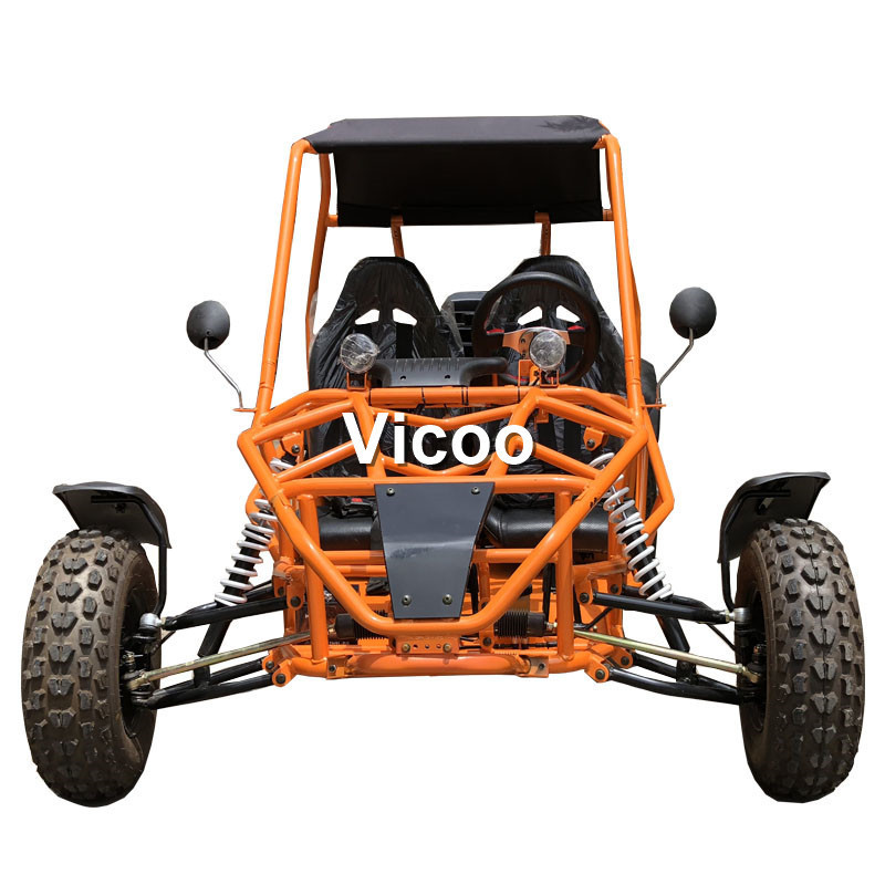 Vicoo 200cc air cooled gasoline buggy go kart 2 seat adults go kart